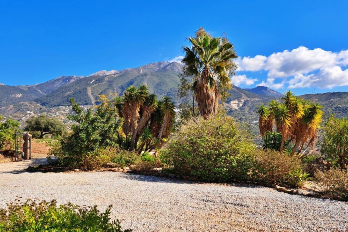 La Perla Andaluza Villa Alcaucín Dış mekan fotoğraf